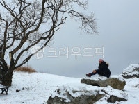 나무, 사람, 눈, 바위, 하늘, 사진,이미지,일러스트,캘리그라피 - 해피꽃님이작가 크라우드픽 - 저작권 걱정 없는 상업용 이미지