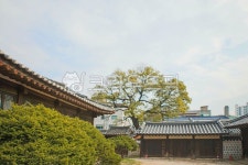 서울, 명륜동, 성균관, 유림회관, 옥외, 사진,이미지,일러스트,캘리그라피 - imlover작가 크라우드픽 - 저작권 걱정 없는 상업용 이미지