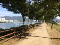 nature, 자연, outdoors, 옥외, path, 사진,이미지,일러스트,캘리그라피 - c_g8318작가 크라우드픽 - 저작권 걱정 없는 상업용 이미지