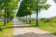 바다향기테마파크, 공원, 자연, 풍경, 대부도, 사진,이미지,일러스트,캘리그라피 - koyh작가 크라우드픽 - 저작권 걱정 없는 상업용 이미지