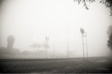 미국, 켈리포니아, 얼바인, 안개, 기찻길, 사진,이미지,일러스트,캘리그라피 - diolee 작가 크라우드픽 - 저작권 걱정 없는 상업용 이미지