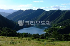 목장, 아침, 나무, 초원, 하늘, 사진,이미지,일러스트,캘리그라피 - Nkimjoonyee작가 크라우드픽 - 저작권 걱정 없는 상업용 이미지