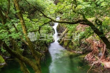 구룡소, 치악산, 치악산구룡소, 시원한물, 치악산국립공원, 사진,이미지,일러스트,캘리그라피 - kyakult작가 크라우드픽 - 저작권 걱정 없는... 