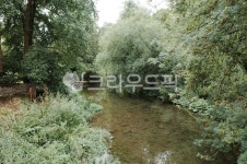 자연, nature, 하늘, 푸르름, 푸름, 사진,이미지,일러스트,캘리그라피 - grisae작가 크라우드픽 - 저작권 걱정 없는 상업용 이미지