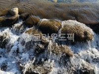 물, 계곡, 자연, nature, 시냇물, 사진,이미지,일러스트,캘리그라피 - Nsky5676141작가 크라우드픽 - 저작권 걱정 없는 상업용 이미지