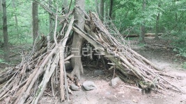 나무, 공원, 나무로만든집, tree, park, 사진,이미지,일러스트,캘리그라피 - Julie24작가 크라우드픽 - 저작권 걱정 없는 상업용 이미지