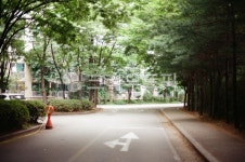 도로, road, 아파트단지, 단지내도로, 단지내찻길, 사진,이미지,일러스트,캘리그라피 - 제이엘포토작가 크라우드픽 - 저작권 걱정 없는 상업용... 