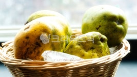 모가, 과일, 바구니, 창가, 열매, 사진,이미지,일러스트,캘리그라피 - BingBing작가 크라우드픽 - 저작권 걱정 없는 상업용 이미지