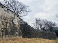 남산, 산책, 남산둘레길, 둘레길, 공원, 사진,이미지,일러스트,캘리그라피 - 나비처럼작가 크라우드픽 - 저작권 걱정 없는 상업용 이미지