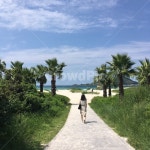 바다, 하늘, 야자수, 뒷모습, 모래사장, 사진,이미지,일러스트,캘리그라피 - 효정작가 크라우드픽 - 저작권 걱정 없는 상업용 이미지