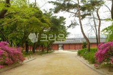 창경궁, 산책, 산책로, 서울, 종로구, 사진,이미지,일러스트,캘리그라피 - imlover작가 크라우드픽 - 저작권 걱정 없는 상업용 이미지