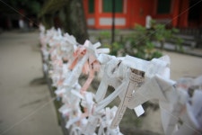 일본여행, 신사, 운세뽑기, 소길, 운세묶기, 사진,이미지,일러스트,캘리그라피 - sunnying87작가 크라우드픽 - 저작권 걱정 없는 상업용 이미지