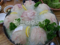 회, 모듬회, 생선회, 횟집, 도미회, 사진,이미지,일러스트,캘리그라피 - 엄지공주작가 크라우드픽 - 저작권 걱정 없는 상업용 이미지