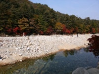 단풍, 계곡, 물, 산, 자갈, 사진,이미지,일러스트,캘리그라피 - Nykj78작가 크라우드픽 - 저작권 걱정 없는 상업용 이미지