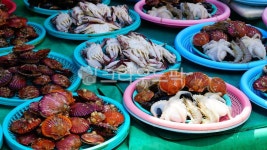 해물, 해산물, seafood, 가리배, shell, 사진,이미지,일러스트,캘리그라피 - BUSAN OPPA작가 크라우드픽 - 저작권 걱정 없는 상업용 이미지