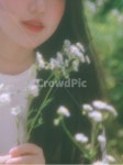 꽃, 소녀, 소녀감성, 은은한, 감성사진, 사진,이미지,일러스트,캘리그라피 - 지니698작가 크라우드픽 - 저작권 걱정 없는 상업용 이미지