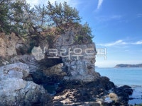 금일도, 용굴, 동굴, 관광지, 해안동굴, 사진,이미지,일러스트,캘리그라피 - 금일금손작가 크라우드픽 - 저작권 걱정 없는 상업용 이미지