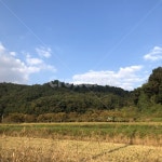 nature, 자연, outdoors, 옥외, 들, 사진,이미지,일러스트,캘리그라피 - 또래래작가 크라우드픽 - 저작권 걱정 없는 상업용 이미지