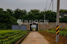 path, 길, 도로, walkway, 보도, 사진,이미지,일러스트,캘리그라피 - 감성이야기사진작가작가 크라우드픽 - 저작권 걱정 없는 상업용 이미지