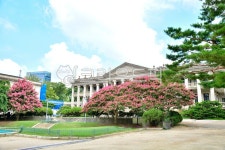 덕수궁, 고궁, 궁궐, 석조전, 대한제국, 사진,이미지,일러스트,캘리그라피 - 백봉작가 크라우드픽 - 저작권 걱정 없는 상업용 이미지