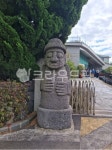 제주, 제주도, 나무, 소나무, 식물, 사진,이미지,일러스트,캘리그라피 - binimin작가 크라우드픽 - 저작권 걱정 없는 상업용 이미지