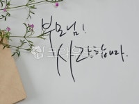 사랑합니다, 사랑해요, 손글씨, 예쁜손글씨, 자작손글씨, 사진,이미지,일러스트,캘리그라피 - 떠나스떼작가 크라우드픽 - 저작권 걱정 없는 상업용... 