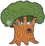 고목나무, 나무, 느티나무, tree, wood, 사진,이미지,일러스트,캘리그라피 - jpang0915작가 크라우드픽 - 저작권 걱정 없는 상업용 이미지
