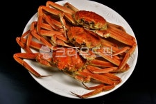 게, 대게, 바다생물, 동물, 해물, 사진,이미지,일러스트,캘리그라피 - 깨비선생작가 크라우드픽 - 저작권 걱정 없는 상업용 이미지