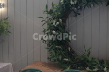 공원, 실내공원, 식물, 숲, 감성, 사진,이미지,일러스트,캘리그라피 - jhyun323작가 크라우드픽 - 저작권 걱정 없는 상업용 이미지