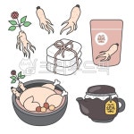 보양식, 삼계탕, 한약, 한방, 약재, 사진,이미지,일러스트,캘리그라피 - 몽채니작가 크라우드픽 - 저작권 걱정 없는 상업용 이미지