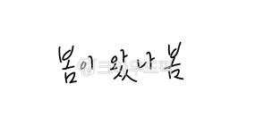 봄, 봄이왔나봄, 캘리, 캘리그라피, 글씨, 사진,이미지,일러스트,캘리그라피 - Ni2ru작가 크라우드픽 - 저작권 걱정 없는 상업용 이미지