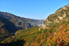 설악산, 가을, 풍경, 단풍, 탐방, 사진,이미지,일러스트,캘리그라피 - 릴작가 크라우드픽 - 저작권 걱정 없는 상업용 이미지