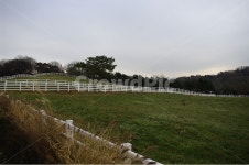 목장, 울타리, 나무, 겨울, 풍경, 사진,이미지,일러스트,캘리그라피 - 귀리작가 크라우드픽 - 저작권 걱정 없는 상업용 이미지