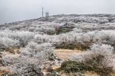 제주도, 한라산, 1100고지, 한라산1100고지, 설경, 사진,이미지,일러스트,캘리그라피 - phototo73작가 크라우드픽 - 저작권 걱정 없는 상업용... 