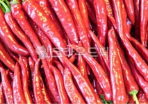 고추, 빨간고추, pepper, redpepper, 고추가루, 사진,이미지,일러스트,캘리그라피 - carywoman작가 크라우드픽 - 저작권 걱정 없는 상업용... 