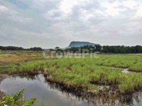 성산일출봉, 내수면둑방길, 내수면, 제주, 올레2코스, 사진,이미지,일러스트,캘리그라피 - Deep bLUE작가 크라우드픽 - 저작권 걱정 없는... 