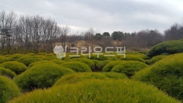 들, 농장, 나무, nature, 자연, 사진,이미지,일러스트,캘리그라피 - 성규작가 크라우드픽 - 저작권 걱정 없는 상업용 이미지