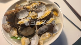바지락칼국수, 동죽칼국수, 칼국수, 조개, 한그릇음식, 사진,이미지,일러스트,캘리그라피 - 일상사진아카이빙작가 크라우드픽 - 저작권 걱정 없는... 
