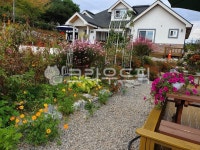 바늘꽃, 미니정원, 전원주택, 가을정원, 가을화단, 사진,이미지,일러스트,캘리그라피 - 산청달빛작가 크라우드픽 - 저작권 걱정 없는 상업용 이미지