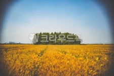 grassland, field, 들, outdoors, 옥외, 사진,이미지,일러스트,캘리그라피 - 하얀백곰작가 크라우드픽 - 저작권 걱정 없는 상업용 이미지