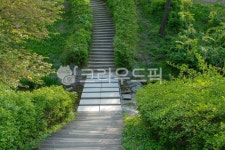 난지천공원, 산책, 산책로, 서울, 마포구, 사진,이미지,일러스트,캘리그라피 - imlover작가 크라우드픽 - 저작권 걱정 없는 상업용 이미지