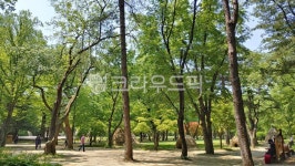 공원, park, outdoors, 옥외, nature, 사진,이미지,일러스트,캘리그라피 - kerypower작가 크라우드픽 - 저작권 걱정 없는 상업용 이미지