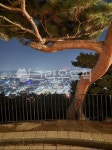 야경, 도시풍경, 멋진나무, 수원야경, 팔각정, 사진,이미지,일러스트,캘리그라피 - Npenny0101작가 크라우드픽 - 저작권 걱정 없는 상업용 이미지