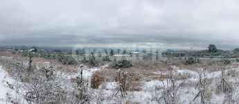 눈밭, 겨울, 눈, 첨단로, 제주도, 사진,이미지,일러스트,캘리그라피 - 셀마작가 크라우드픽 - 저작권 걱정 없는 상업용 이미지