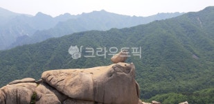 설악산, 암벽, 울산바위, 코뿔소바위, 기암괴석, 사진,이미지,일러스트,캘리그라피 - 자연사랑작가 크라우드픽 - 저작권 걱정 없는 상업용 이미지
