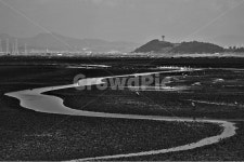 갯골, 바다, 썰물, 물길, 흑백, 사진,이미지,일러스트,캘리그라피 - 퓨처작가 크라우드픽 - 저작권 걱정 없는 상업용 이미지