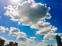 하늘, 화창, 구름, 파란, blue, 사진,이미지,일러스트,캘리그라피 - rins작가 크라우드픽 - 저작권 걱정 없는 상업용 이미지