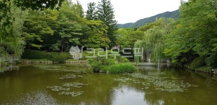 nature, 연못, water, 물, 옥외, 사진,이미지,일러스트,캘리그라피 - tsniper작가 크라우드픽 - 저작권 걱정 없는 상업용 이미지