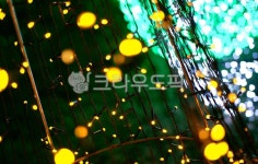 감성, 배경, old, nature, 날씨, 사진,이미지,일러스트,캘리그라피 - kaffatime작가 크라우드픽 - 저작권 걱정 없는 상업용 이미지