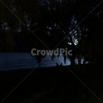 뉴질랜드, 퀸스타운, 야경, 감성, 역광, 사진,이미지,일러스트,캘리그라피 - 베이지작가 크라우드픽 - 저작권 걱정 없는 상업용 이미지